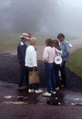 nebel